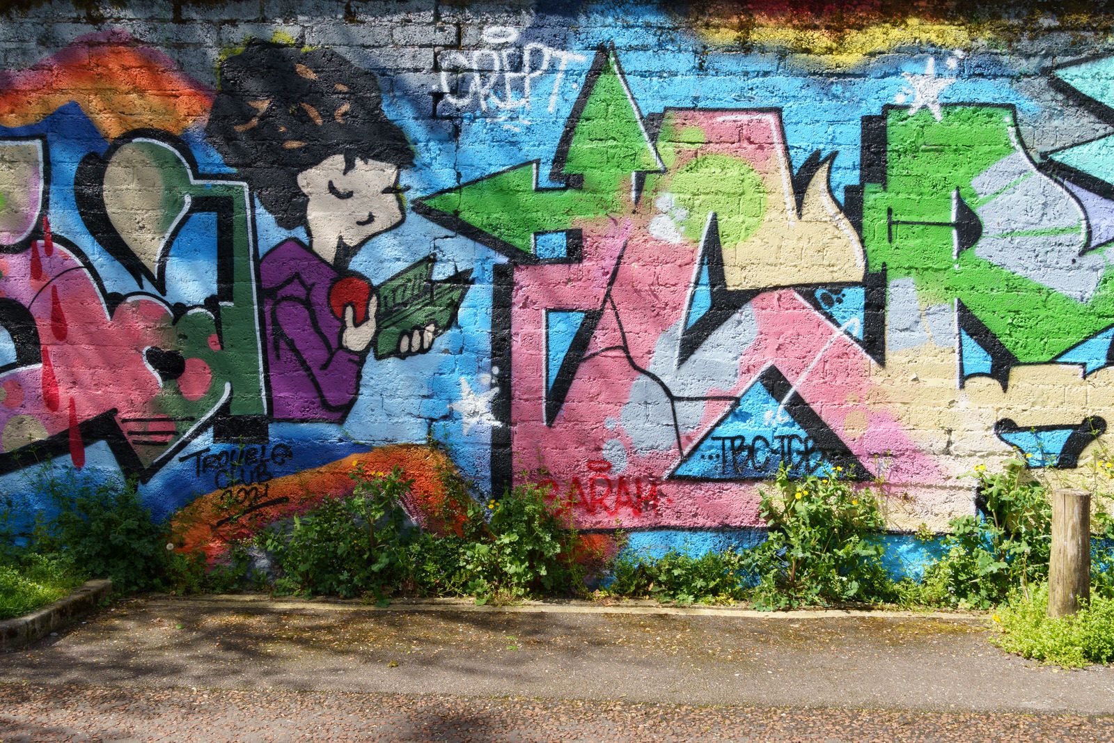 I CHECK THE STREET ART ON FERRY WALK EVERY TIME I VISIT CORK [NEAR THE POPULAR SHAKY BRIDGE]-224474-1