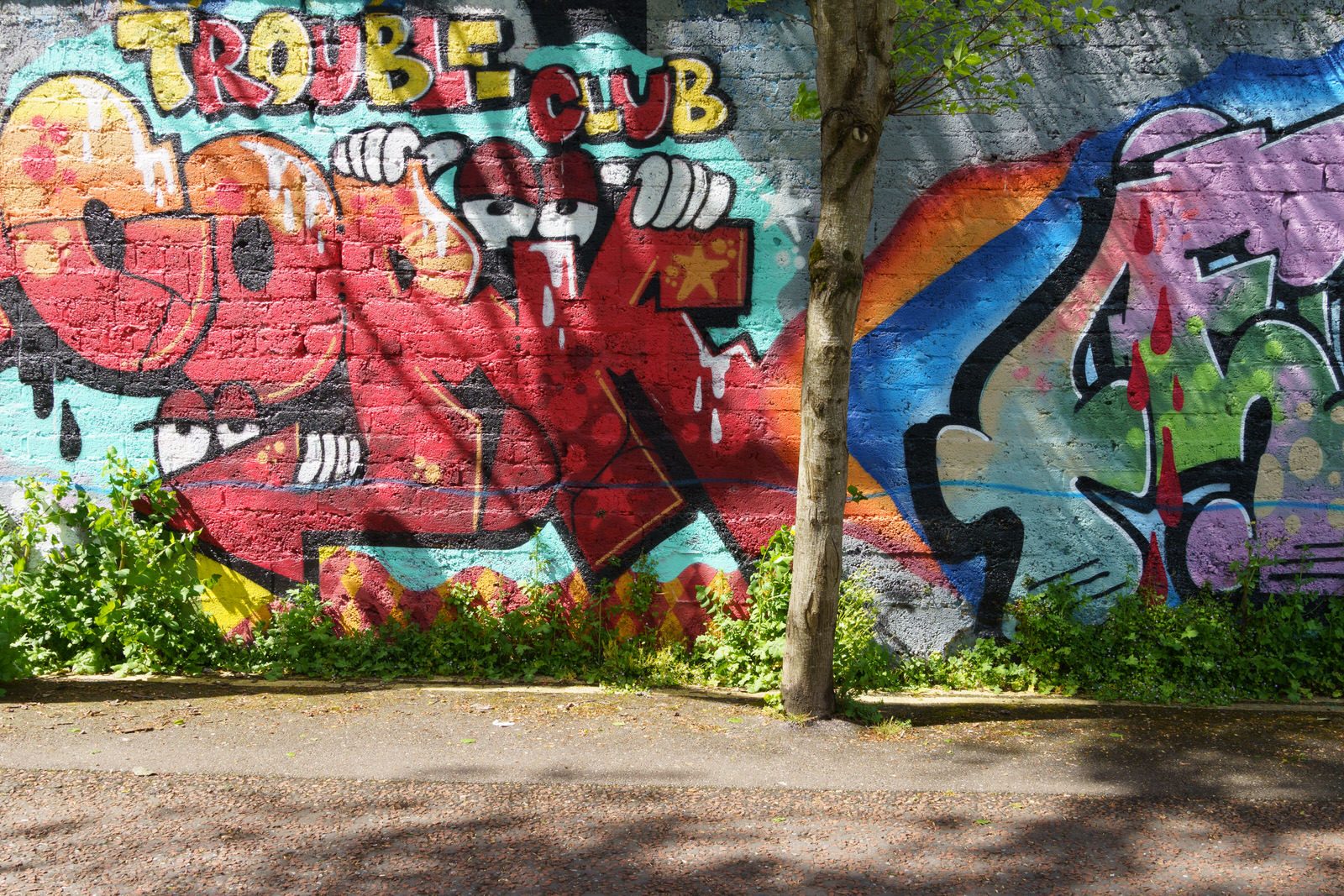 I CHECK THE STREET ART ON FERRY WALK EVERY TIME I VISIT CORK [NEAR THE POPULAR SHAKY BRIDGE]-224475-1