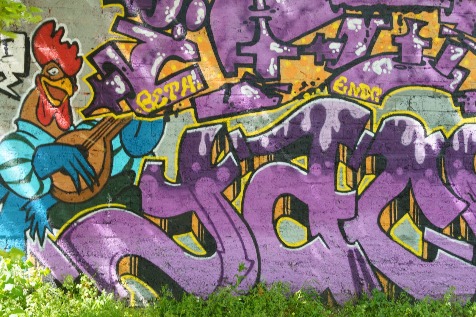 I CHECK THE STREET ART ON FERRY WALK EVERY TIME I VISIT CORK [NEAR THE POPULAR SHAKY BRIDGE]-224479-1