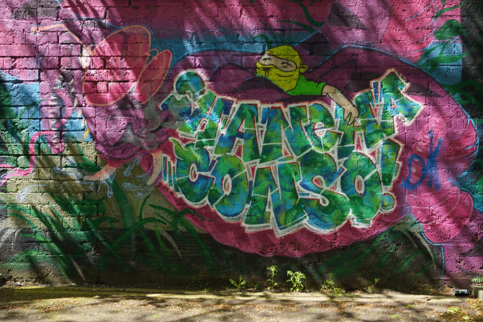 I CHECK THE STREET ART ON FERRY WALK EVERY TIME I VISIT CORK [NEAR THE POPULAR SHAKY BRIDGE]-224484-1