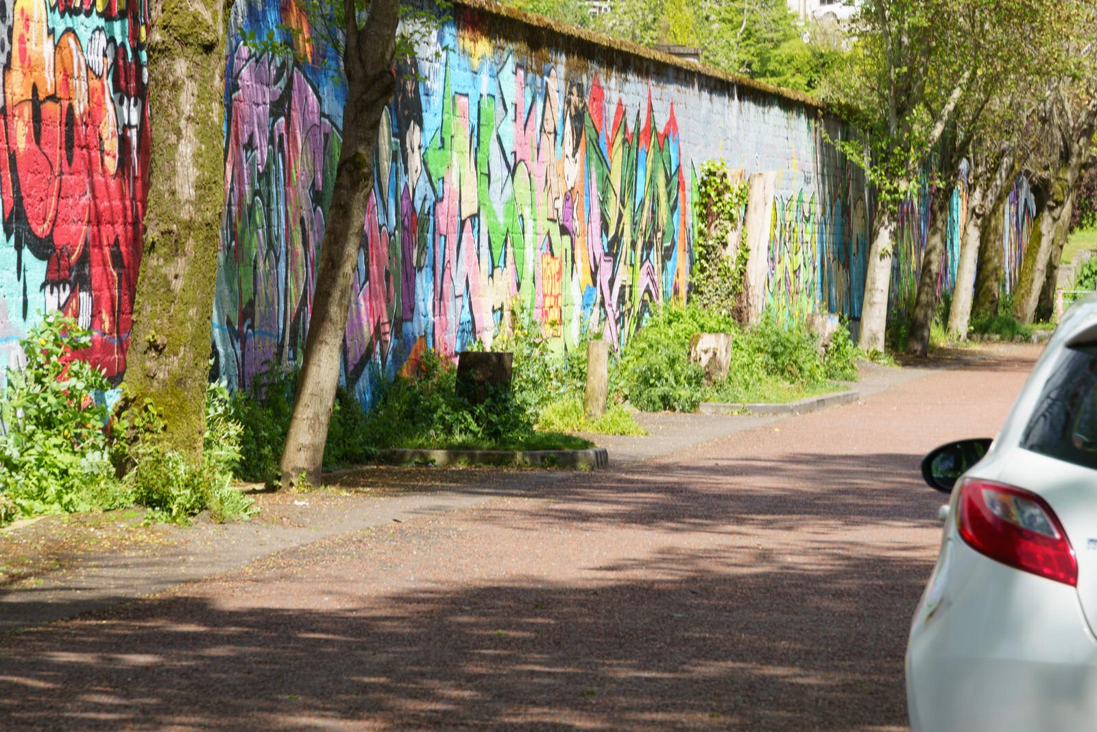 I CHECK THE STREET ART ON FERRY WALK EVERY TIME I VISIT CORK [NEAR THE POPULAR SHAKY BRIDGE]-224483-1