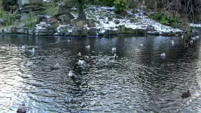 THE GROUND WAS COVERED IN SNOW WHEN I VISITED ST STEPHEN'S GREEN IN NOVEMBER 27 2010 [LEGACY PHOTO COLLECTIONS]-244846-1