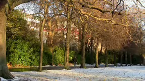 THE GROUND WAS COVERED IN SNOW WHEN I VISITED ST STEPHEN'S GREEN IN NOVEMBER 27 2010 [LEGACY PHOTO COLLECTIONS]-244860-1