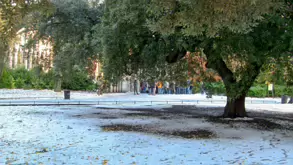 THE GROUND WAS COVERED IN SNOW WHEN I VISITED ST STEPHEN'S GREEN IN NOVEMBER 27 2010 [LEGACY PHOTO COLLECTIONS]-244870-1