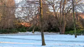 THE GROUND WAS COVERED IN SNOW WHEN I VISITED ST STEPHEN'S GREEN IN NOVEMBER 27 2010 [LEGACY PHOTO COLLECTIONS]-244872-1