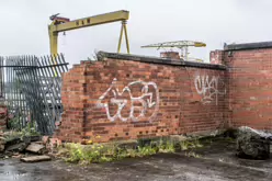 THE DOMINATING CRANES OF BELFAST [SAMSON AND GOLIATH]-235508-1