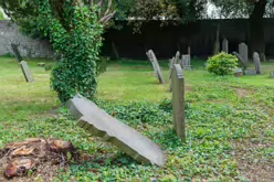 MY FIRST VISIT TO GOLDENBRIDGE CEMETERY [MAY 2017]-237414-1