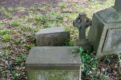 MY FIRST VISIT TO GOLDENBRIDGE CEMETERY [MAY 2017]-237418-1