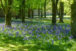 THE KILKENNY CASTLE ESTATE [THERE IS NO REAL NEED TO PAY TO EXPLORE THE CASTLE]-245321-1