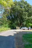THE KILKENNY CASTLE ESTATE [THERE IS NO REAL NEED TO PAY TO EXPLORE THE CASTLE]-245341-1