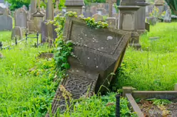 UNEARTHING YOUR IRISH ROOTS IN KILKENNY [A JOURNEY THROUGH ST JOHN'S CEMETERY]-245282-1