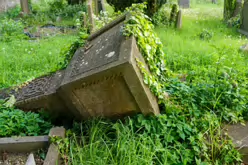 UNEARTHING YOUR IRISH ROOTS IN KILKENNY [A JOURNEY THROUGH ST JOHN'S CEMETERY]-245283-1