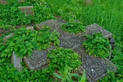UNEARTHING YOUR IRISH ROOTS IN KILKENNY [A JOURNEY THROUGH ST JOHN'S CEMETERY]-245284-1