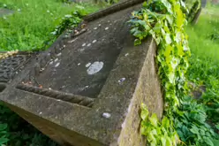 UNEARTHING YOUR IRISH ROOTS IN KILKENNY [A JOURNEY THROUGH ST JOHN'S CEMETERY]-245286-1