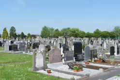 ST KIERAN'S CEMETERY HEBRON ROAD IN KILKENNY [2017 LEGACY PHOTO COLLECTION]-245448-1