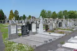 ST KIERAN'S CEMETERY HEBRON ROAD IN KILKENNY [2017 LEGACY PHOTO COLLECTION]-245449-1