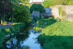 THE BLACK CAT AND DAVID CAMPION'S PUB AND NEARBY [BLACK MILLS STREET IN KILKENNY]-245466-1