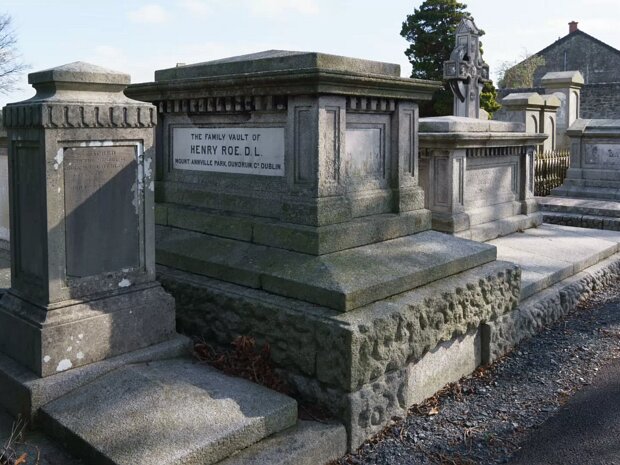 HENRY ROE Despite its remarkable success, Roe & Co. faced a series of challenges that ultimately led to its decline. Instead of...