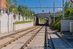 CABRA TRAM STOP [AND MOUNT BERNARD PUBLIC PARK]-244034-1