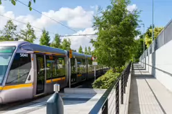 CABRA TRAM STOP [AND MOUNT BERNARD PUBLIC PARK]-244044-1