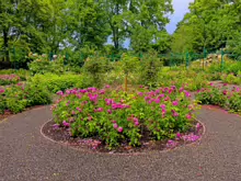 IVEAGH GARDENS [ONCE PRIVATELY OWNED BUT NOW OPEN TO THE PUBLIC]-244010-1