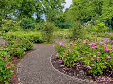 IVEAGH GARDENS [ONCE PRIVATELY OWNED BUT NOW OPEN TO THE PUBLIC]-244012-1