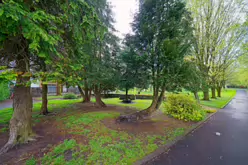 THE PEOPLE'S PARK IN LIMERICK [LOST ITS BEEBEE TREE IN 2013]-244607-1