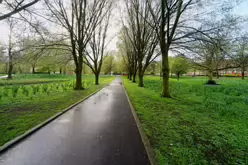 THE PEOPLE'S PARK IN LIMERICK [LOST ITS BEEBEE TREE IN 2013]-244608-1