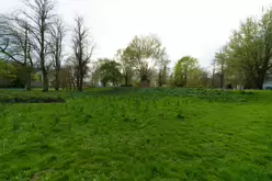 THE PEOPLE'S PARK IN LIMERICK [LOST ITS BEEBEE TREE IN 2013]-244611-1