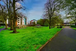 THE PEOPLE'S PARK IN LIMERICK [LOST ITS BEEBEE TREE IN 2013]-244613-1