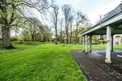 THE PEOPLE'S PARK IN LIMERICK [LOST ITS BEEBEE TREE IN 2013]-244619-1