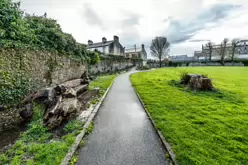 THE PEOPLE'S PARK IN LIMERICK [LOST ITS BEEBEE TREE IN 2013]-244621-1