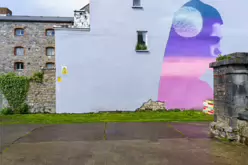 STRENGTH IN FRAGILITY A MURAL BY EMIC [WHERE CROSBIE ROW MEETS NICHOLAS STREET IN LIMERICK]-244675-1