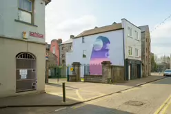 STRENGTH IN FRAGILITY A MURAL BY EMIC [WHERE CROSBIE ROW MEETS NICHOLAS STREET IN LIMERICK]-244679-1