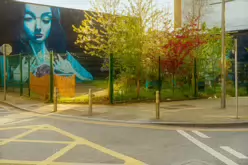 LOVE ME SO BY DERMOT MCCONAGHY (DMC) [THOMAS STREET LIMERICK 2022 LEGACY PHOTO COLLECTION]-244574-1