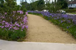 MY AUGUST 2022 VISIT TO LOWER KILMACUD ROAD [STILLORGAN VILLAGE AREA]-243753-1