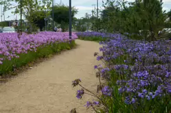 MY AUGUST 2022 VISIT TO LOWER KILMACUD ROAD [STILLORGAN VILLAGE AREA]-243754-1