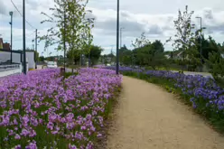MY AUGUST 2022 VISIT TO LOWER KILMACUD ROAD [STILLORGAN VILLAGE AREA]-243755-1