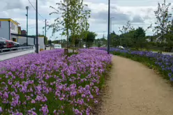 MY AUGUST 2022 VISIT TO LOWER KILMACUD ROAD [STILLORGAN VILLAGE AREA]-243756-1
