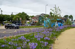 MY AUGUST 2022 VISIT TO LOWER KILMACUD ROAD [STILLORGAN VILLAGE AREA]-243758-1
