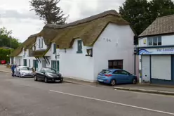 THE STILLORGAN ORCHARD [THE HILL STILLORGAN]-243781-1