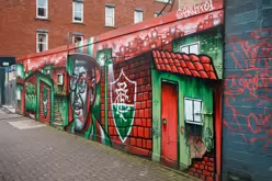 FLUDUBLIN RELATED STREET ART ON PARNELL STREET [BY BRUTTO A BRAZILIAN STREET ARTIST-245783-1