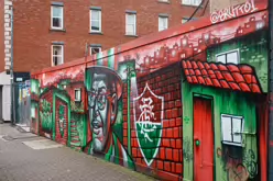 FLUDUBLIN RELATED STREET ART ON PARNELL STREET [BY BRUTTO A BRAZILIAN STREET ARTIST-245784-1
