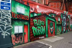 FLUDUBLIN RELATED STREET ART ON PARNELL STREET [BY BRUTTO A BRAZILIAN STREET ARTIST-245785-1