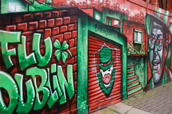 FLUDUBLIN RELATED STREET ART ON PARNELL STREET [BY BRUTTO A BRAZILIAN STREET ARTIST-245786-1