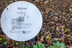 BUSHY BY CORBAN WALKER [AN INTERESTING SCULPTURE AT BUSHY PARK]-245616-1