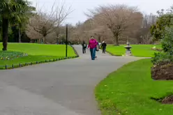 THE PEOPLES FLOWER GARDEN [PHOENIX PARK 30 DECEMBER 2024]-245918-1
