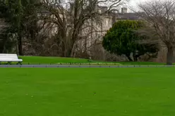 THE PEOPLES FLOWER GARDEN [PHOENIX PARK 30 DECEMBER 2024]-245926-1