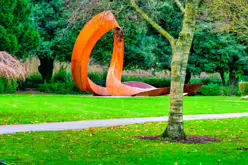 THE PEOPLES FLOWER GARDEN [PHOENIX PARK 30 DECEMBER 2024]-245927-1