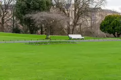 THE PEOPLES FLOWER GARDEN [PHOENIX PARK 30 DECEMBER 2024]-245929-1